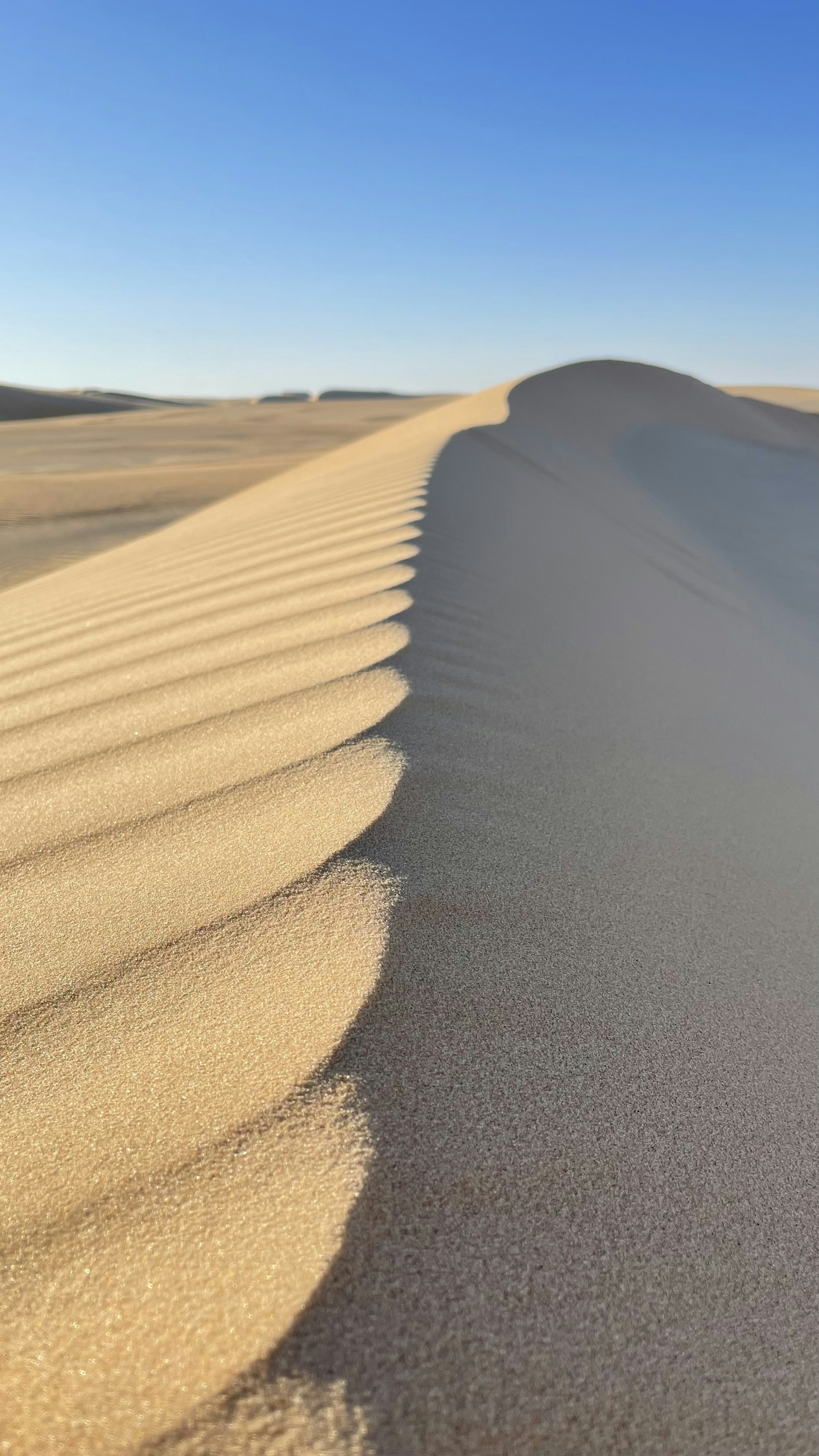 Golden desert dunes in South Sinai